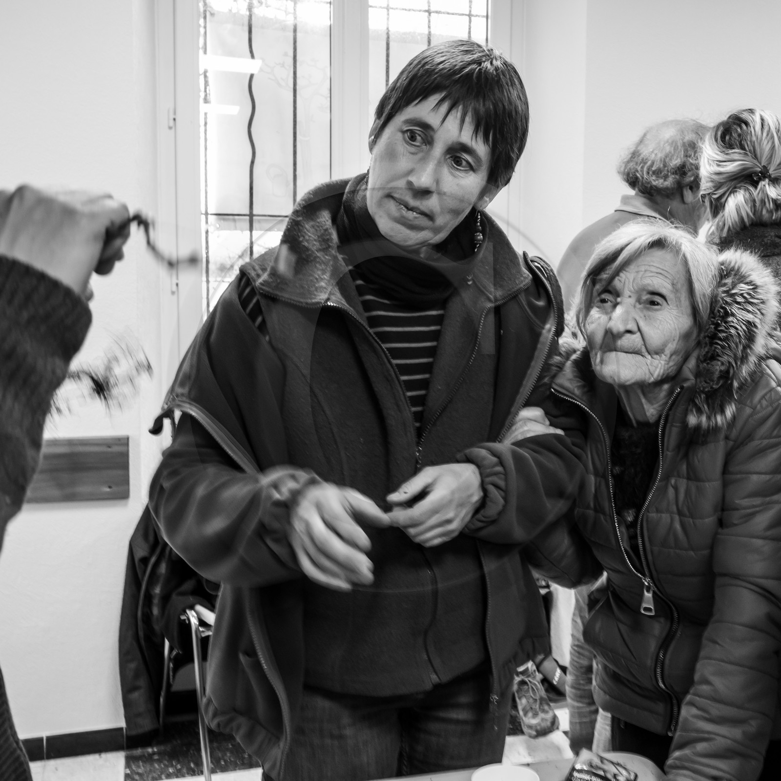 03 avril 2019 : Initiation à la greffe d'arbres fruitiers