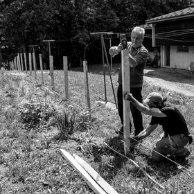 14 juin 2017 - Pose de la clôture