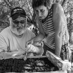 06 septembre 2023 : laine, couture et semis