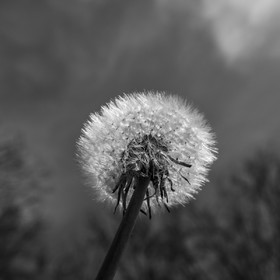 29 avril 2022 : journée des aidants et des aidés