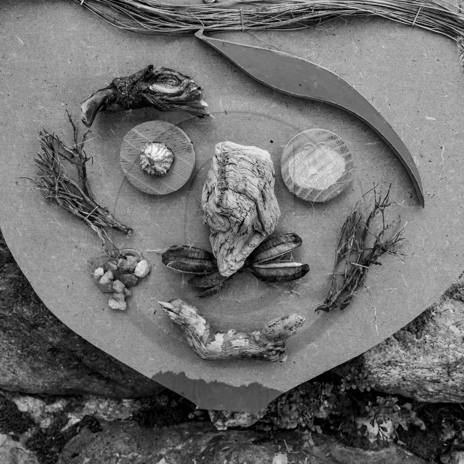 14 juillet 2021 : De la terre et des masques