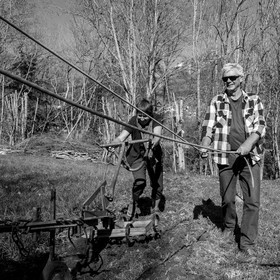 Labour avec un cheval - 17 04 17