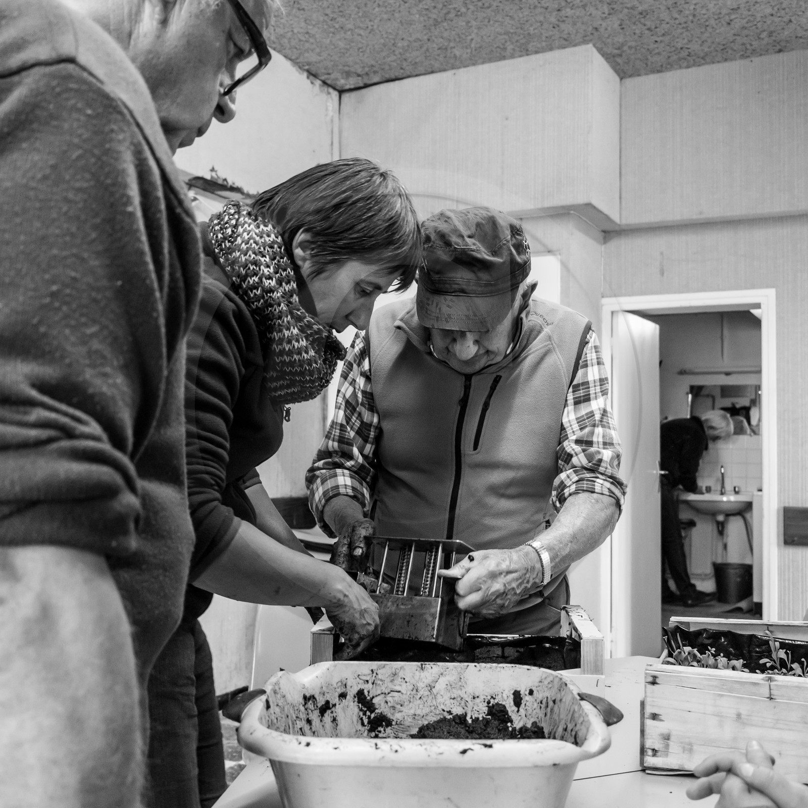 Atelier repiquage et semis - 26 04 2017