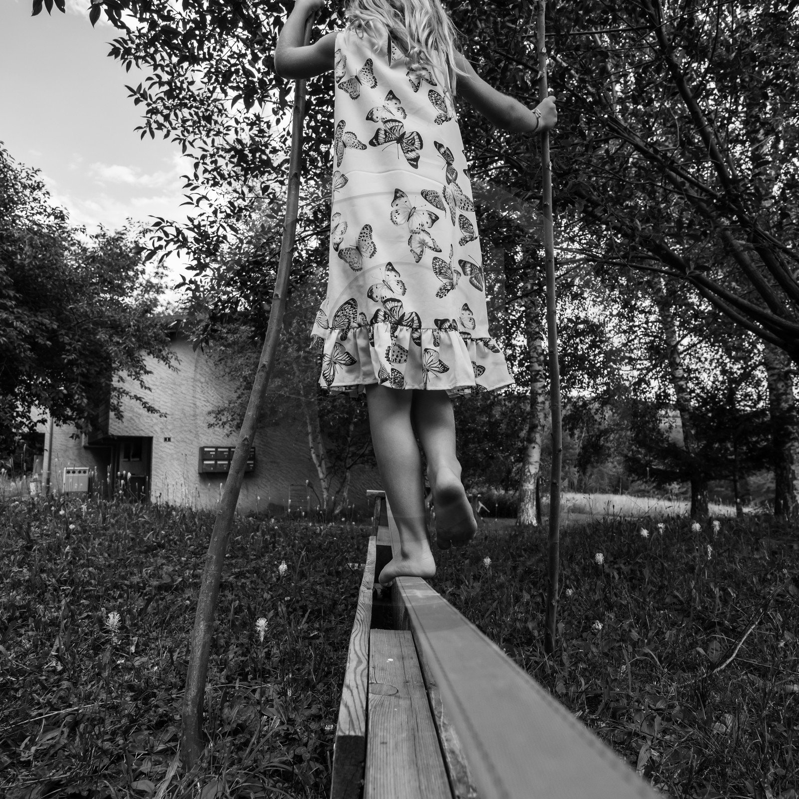 30 juillet 2019 : initiation aux arts du cirque