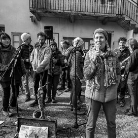 26 octobre 2025 : Les oiseaux de trottoir