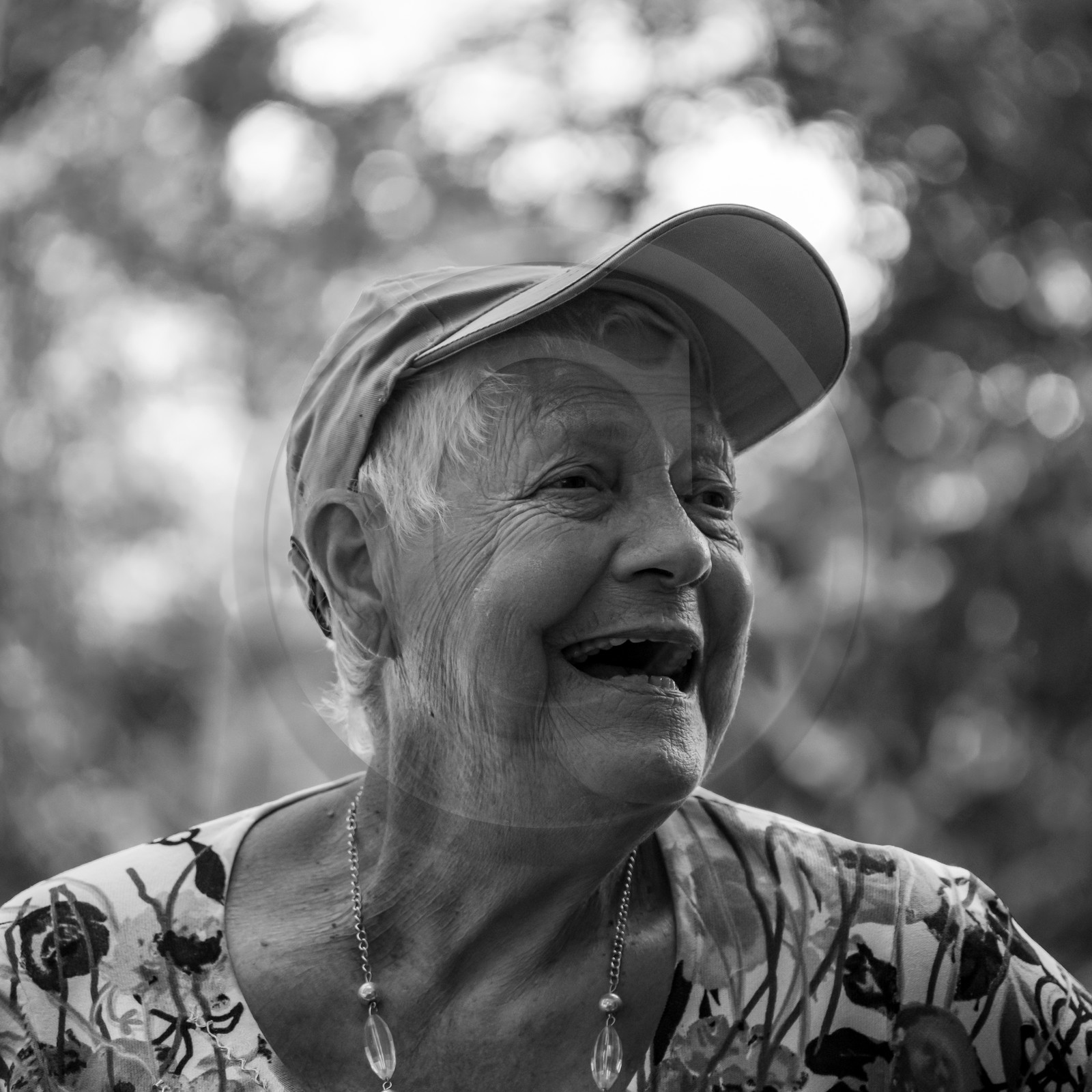 01 septembre 2021 : Promenade en cariole et contes