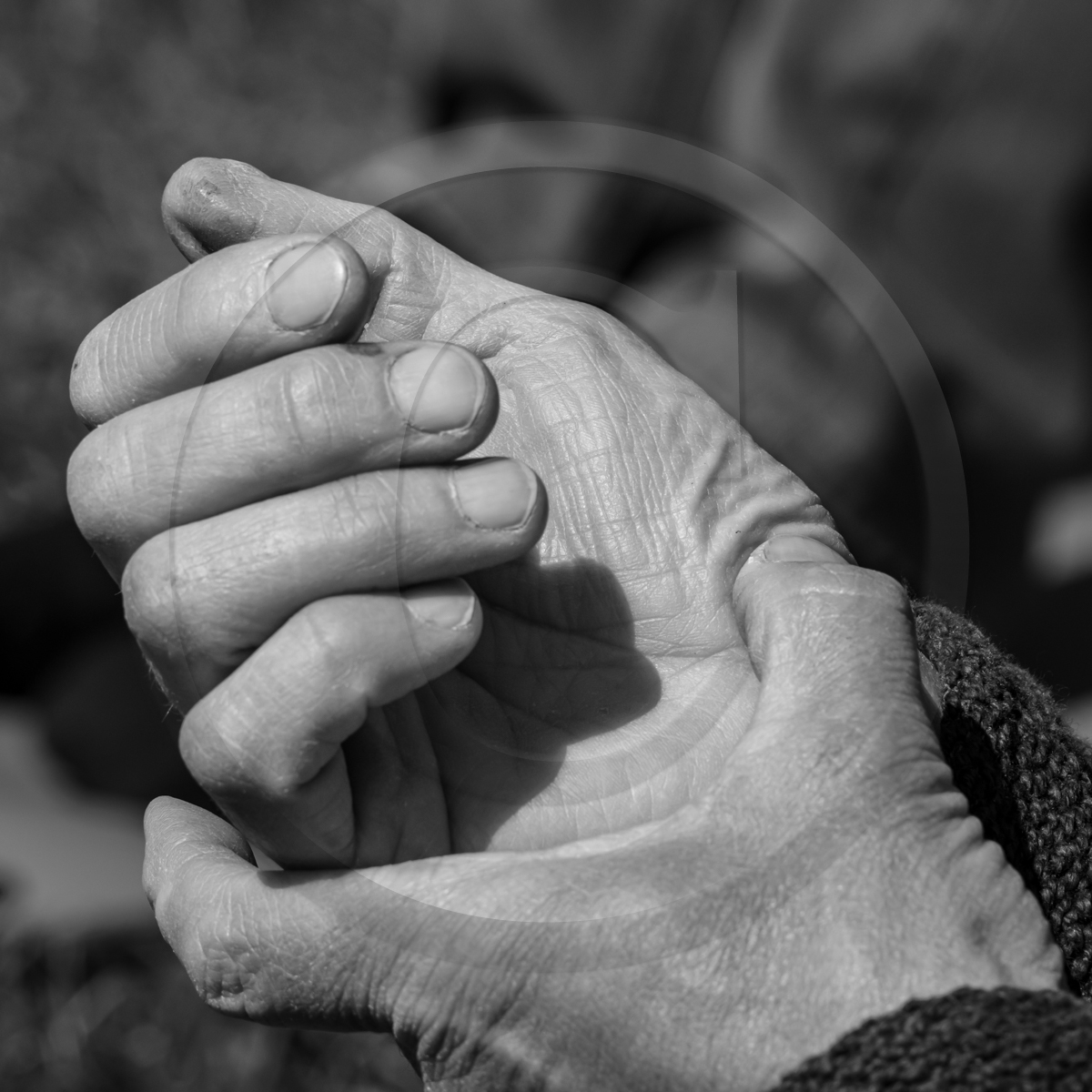 24 avril 2023 : Journée des aidants et des aidés