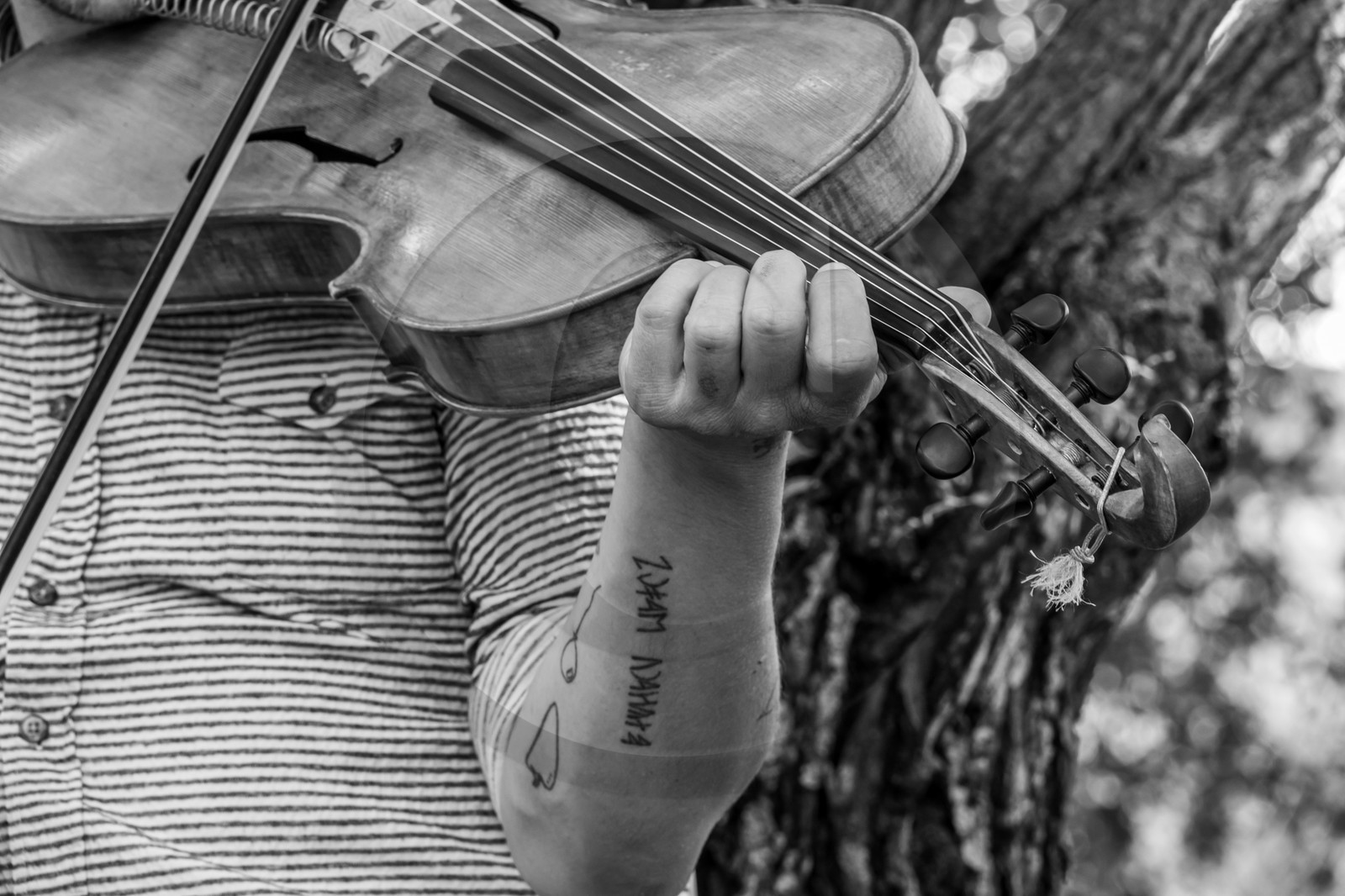 26 juin 2024 : Sieste Musicale avec Balthazar