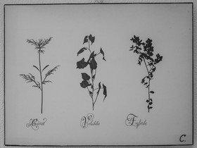 02 avril 2025 : c'est la reprise à l'Ouort