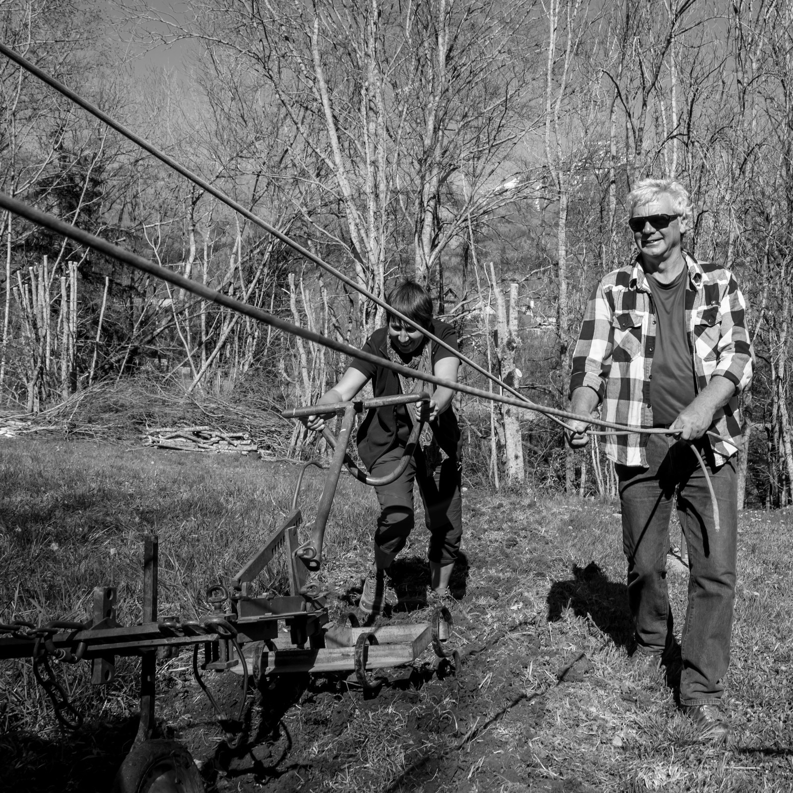 Labour avec un cheval - 17 04 17