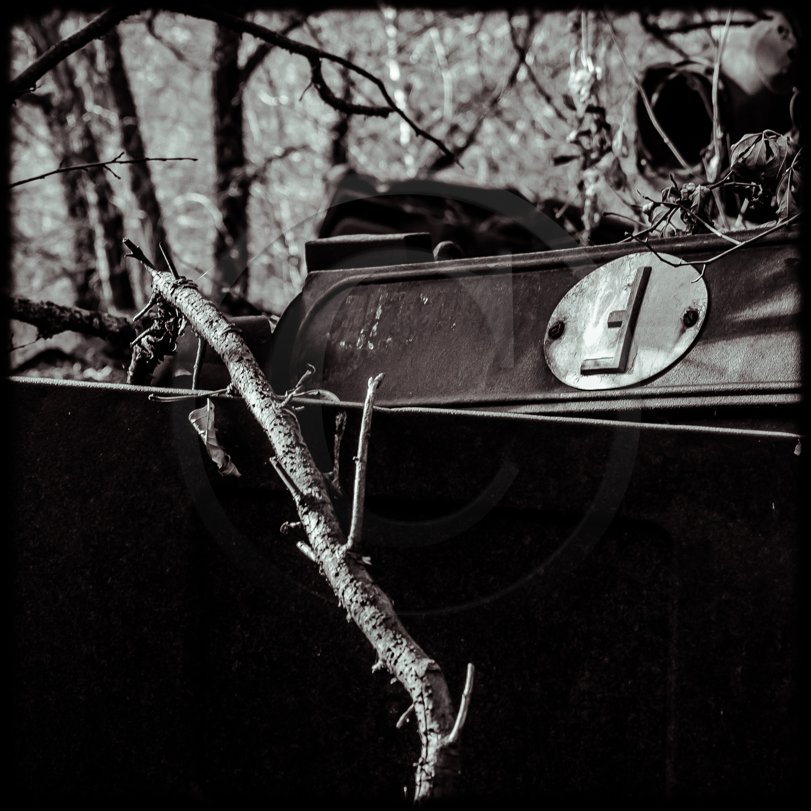 Un cimetière de voitures