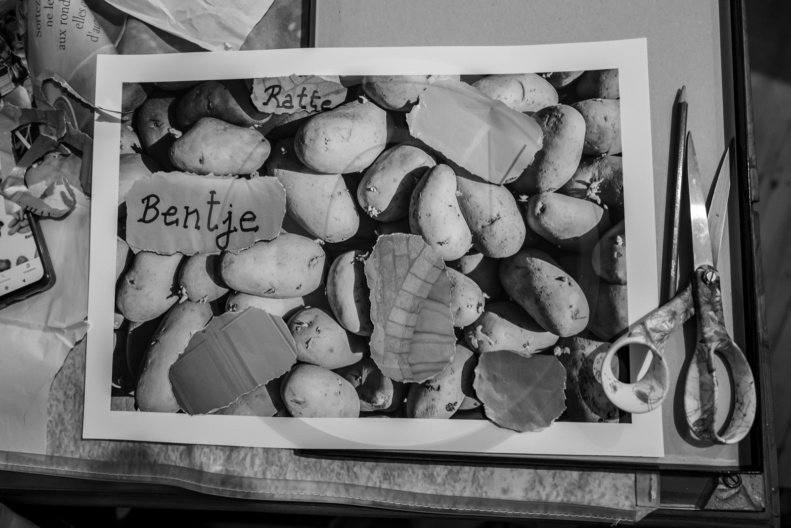 28 août 2024 : A la Maison de la Botanique du Noyer en Champsaur. Visite de l'exposition L comme laine, lien, lieu. Lectures par Les Colporteurs. Collages sur les photographies de Denis Lebioda