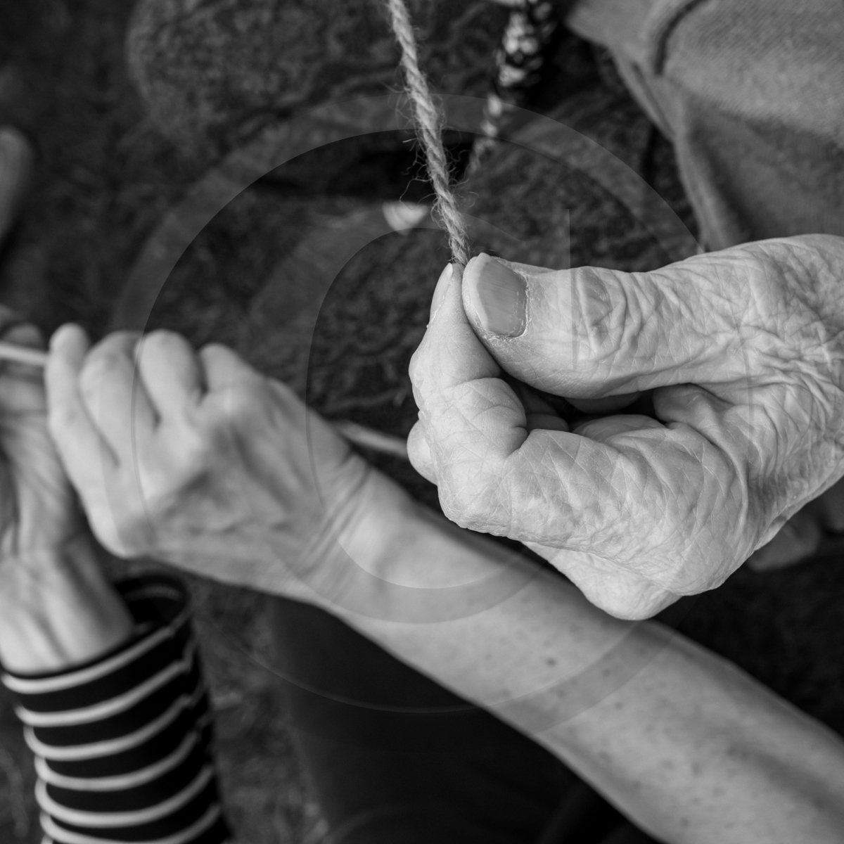 Atelier laine et promenade au jardin