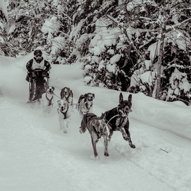 La Valgaude Traineau 2015