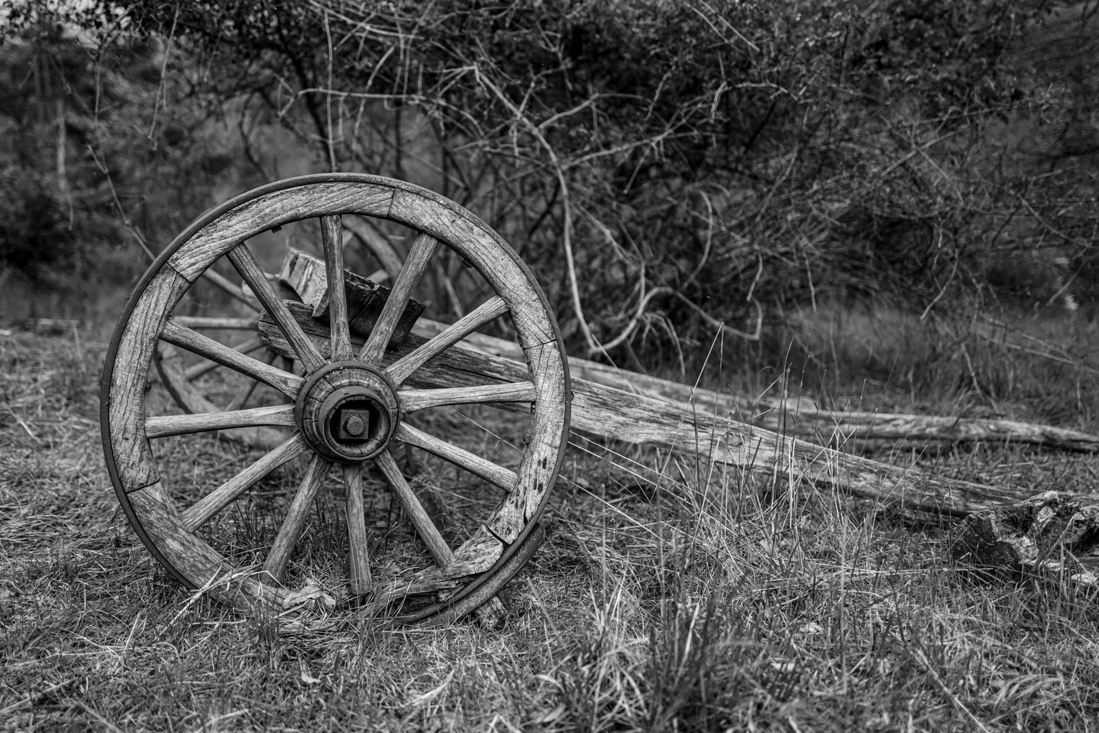 Le Pas du Loup - Le Glaizil -14 mai 2023