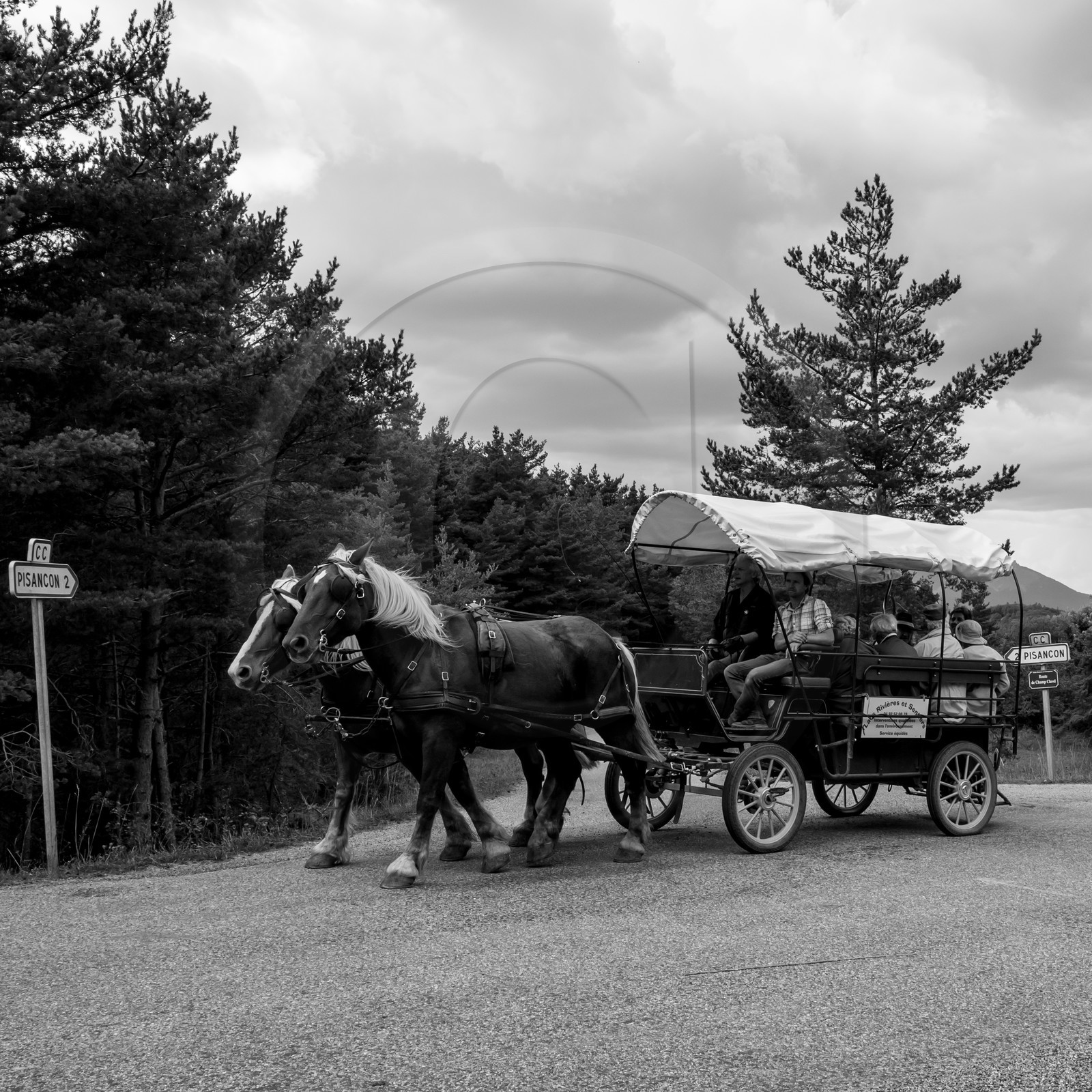 Promenade en calèche et contes