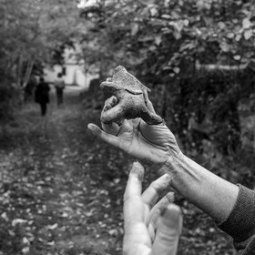 16 octobre 2023 : journée des aidants et des aidés