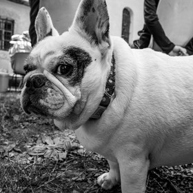 03 juillet 2024 : Création participative de L'homme de l'Ouort avec Barbara Fougnon, artiste plasticienne