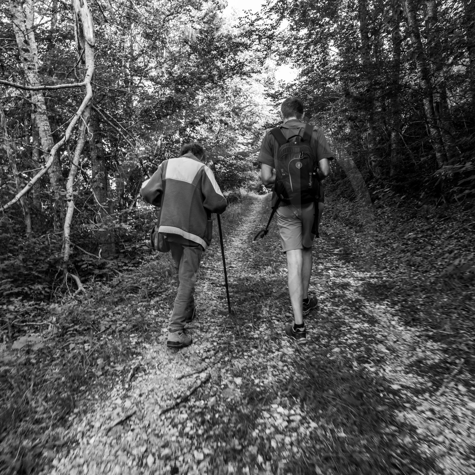 Arpenter le paysage avec Martin de la Soudière