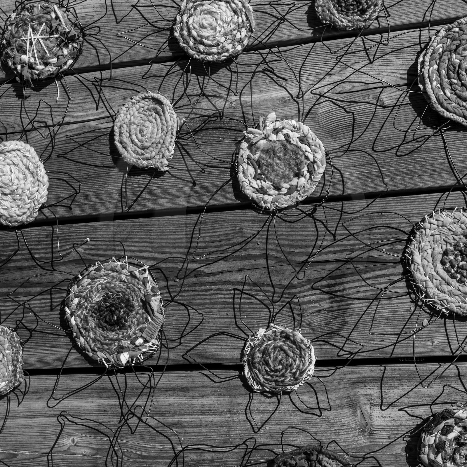 Activités au jardin