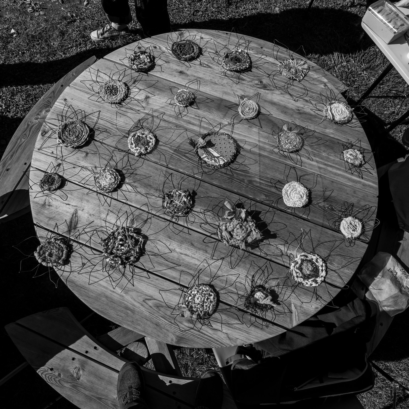 Activités au jardin