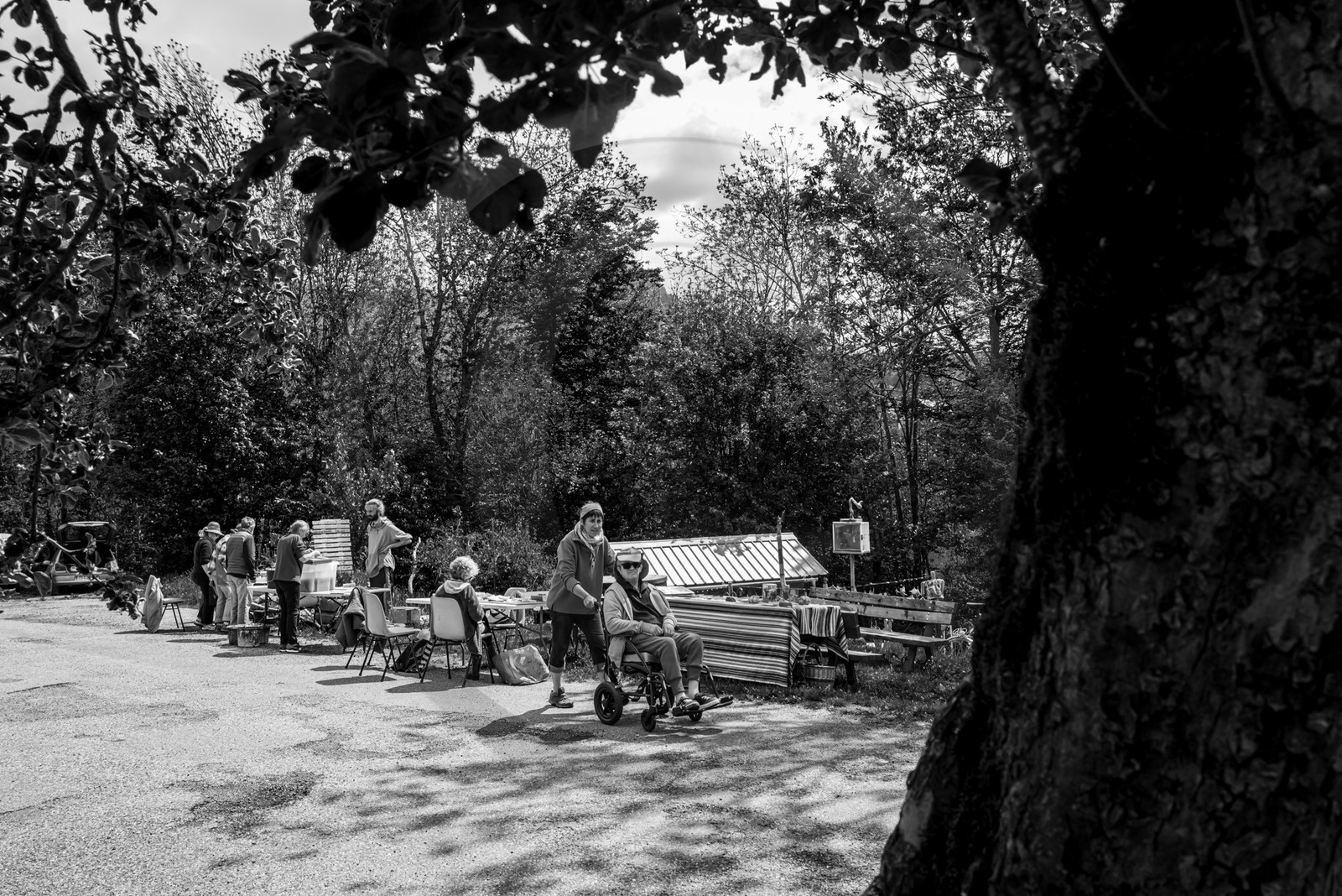 24 mai 2024 : Journée des aidants à l'Ouort