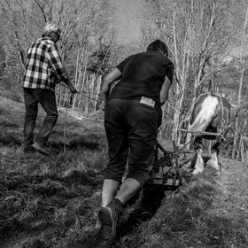 L'Ouort de Bénévent - 17 avril 2017