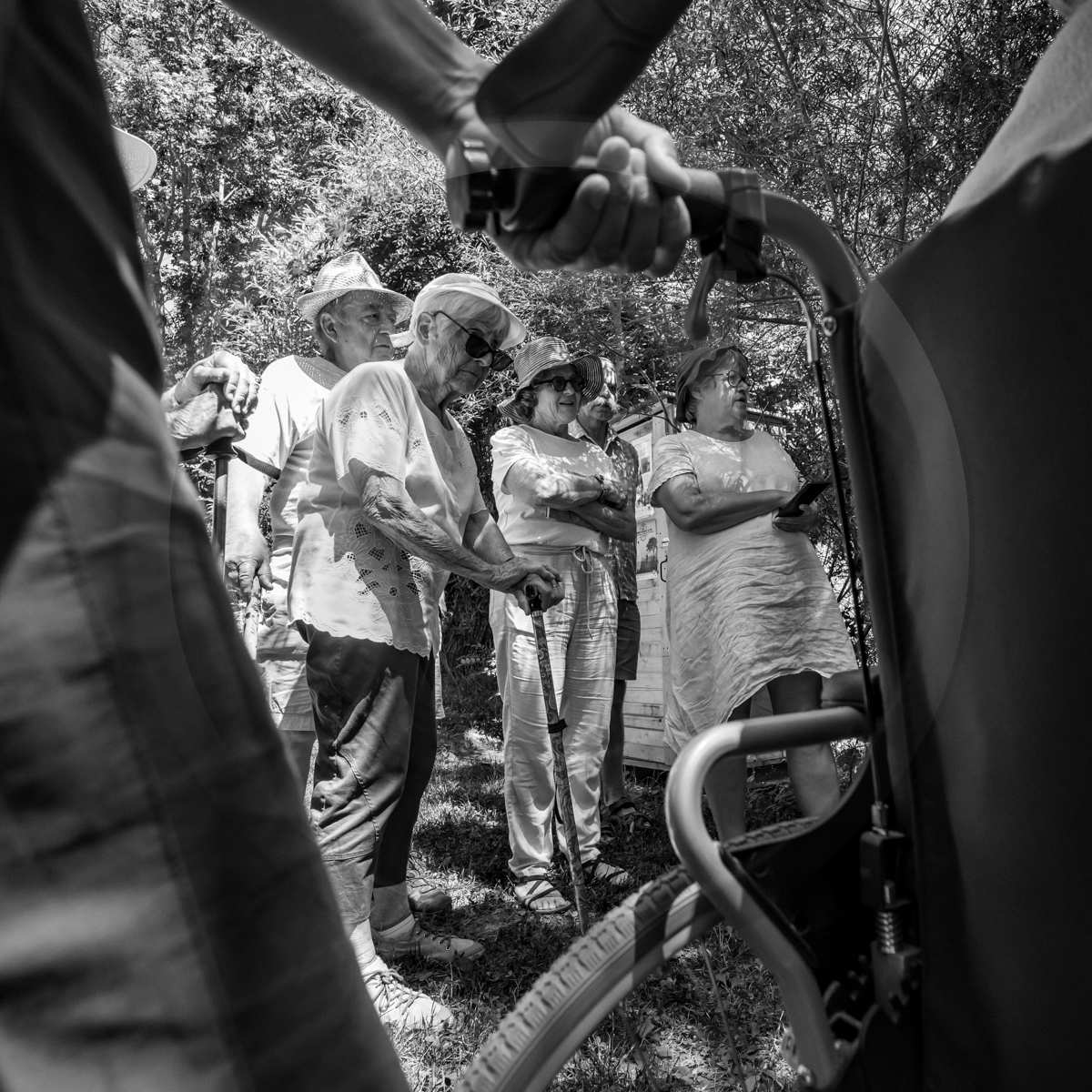 29 juin 2022 : Découverte des plantes sauvages