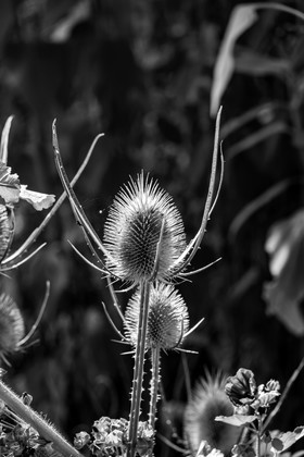 23 aout 2024 : Journée des aidants, aidés et anciens aidants