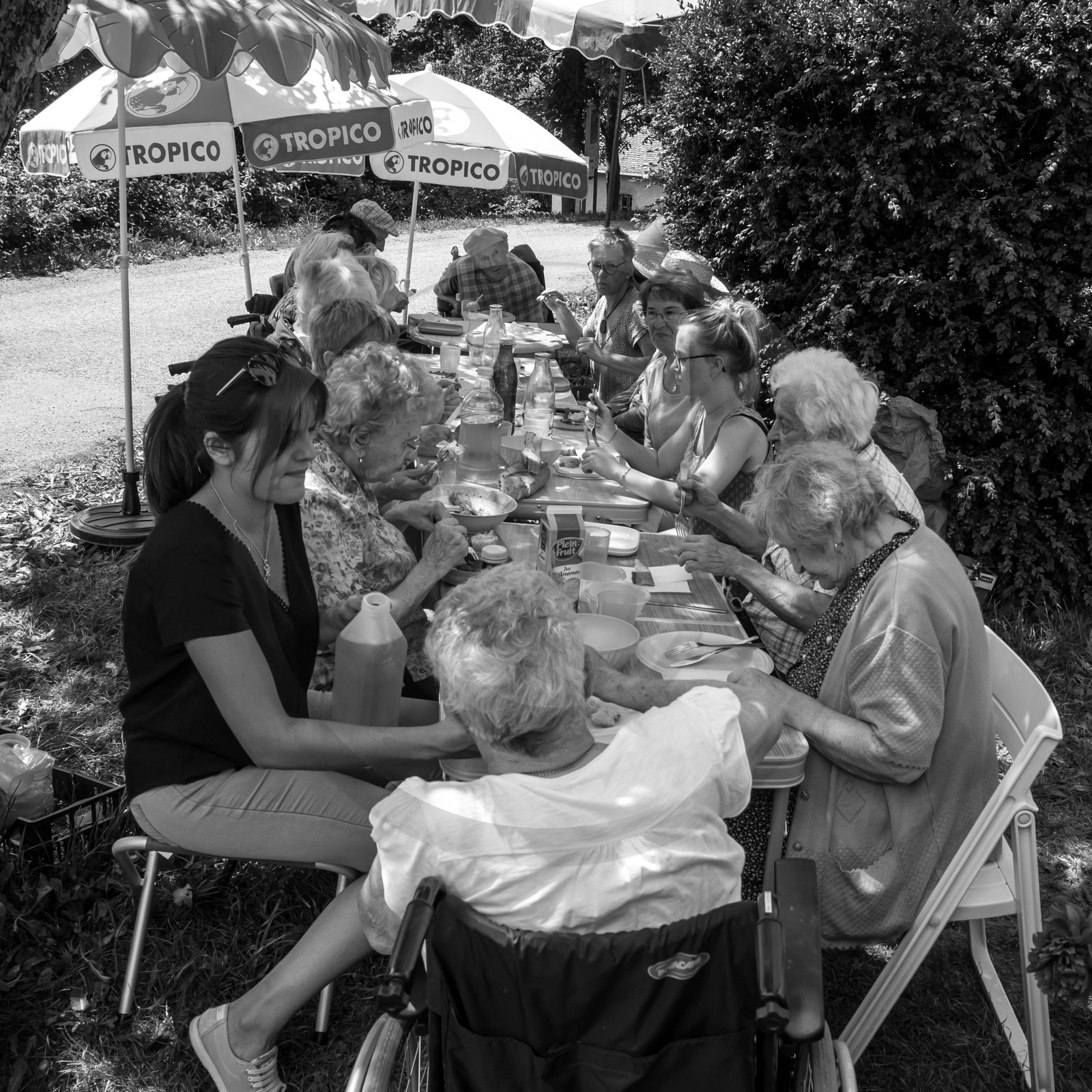 Une après-midi au jardin