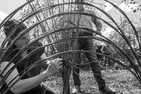 30 avril 2025 : Un oiseau en osier