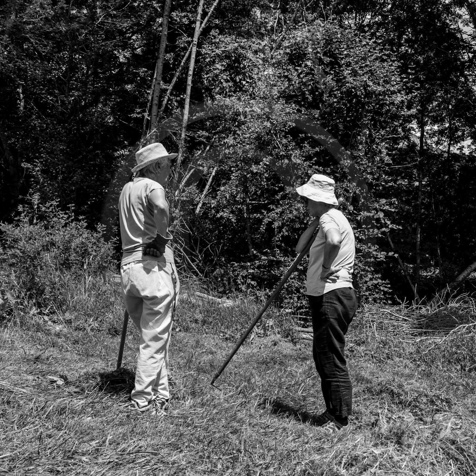 12 juillet 2017 - Moulins à vent
