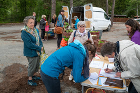 31 mai 2025 : AMAP du Champsaur - Distribution