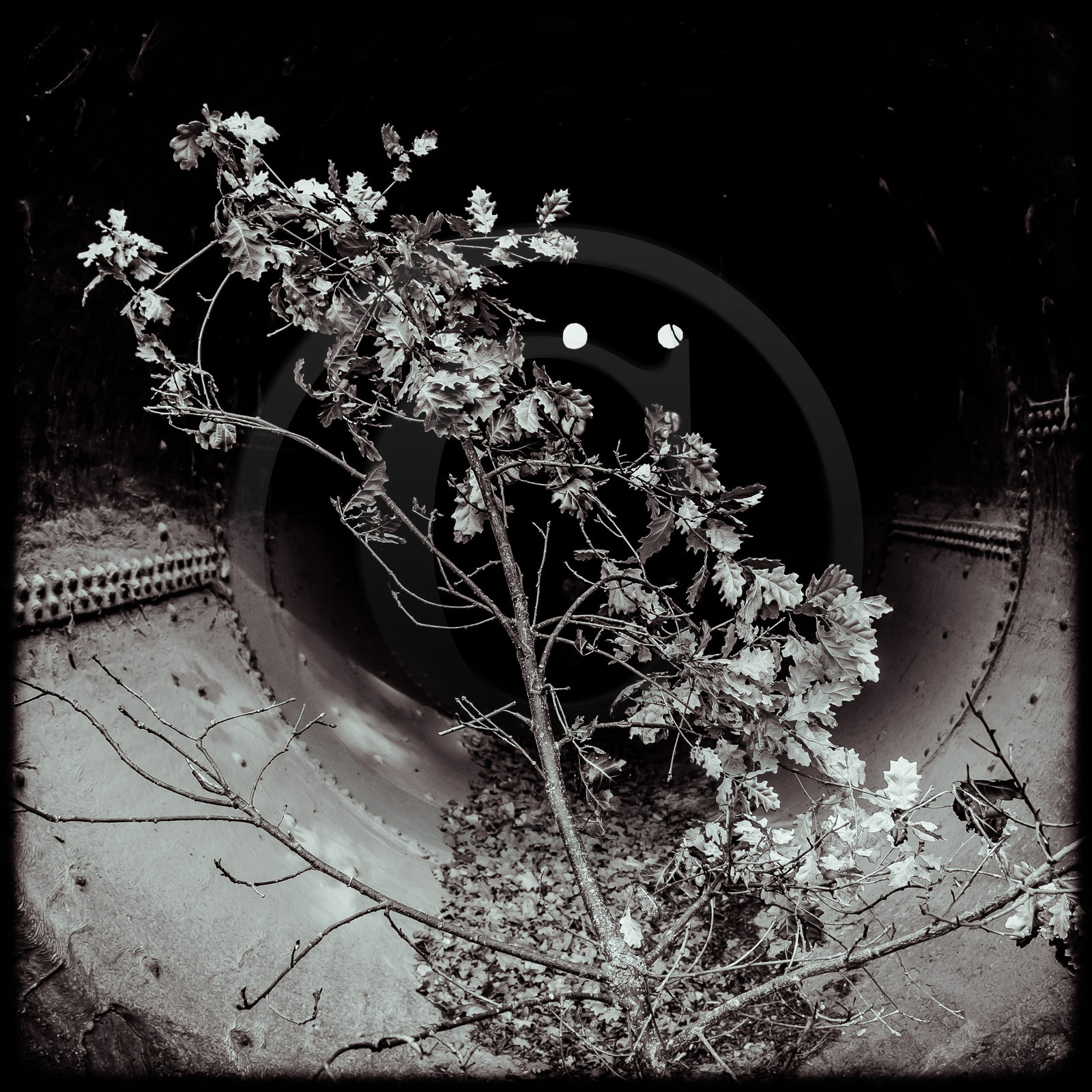 Centrale hydroélectrique du Beynon