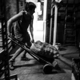 La récolte des pommes de terre