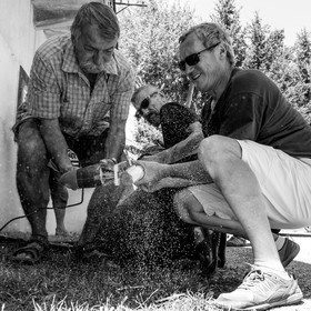 05 juillet 2017 - Installation épouvantails