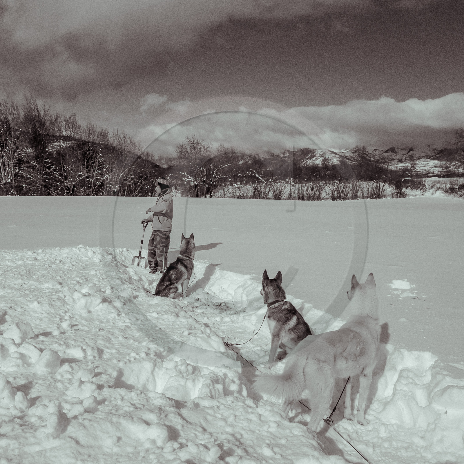 La Valgaude Traineau 2015