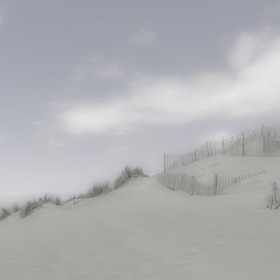 Camargue couleur pastel