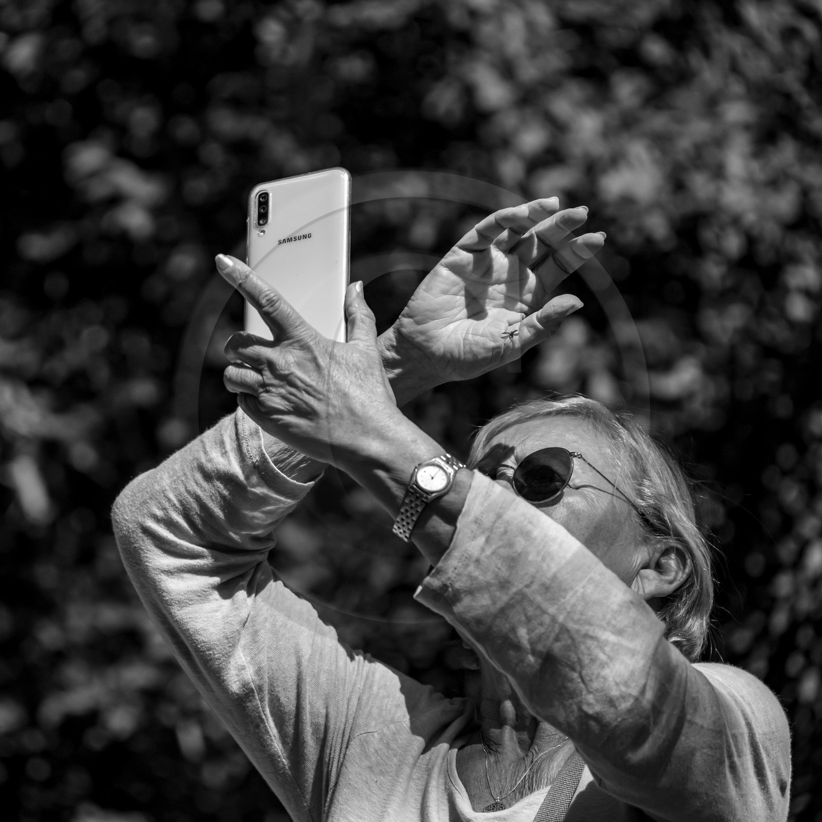 01 septembre 2021 : Promenade en cariole et contes