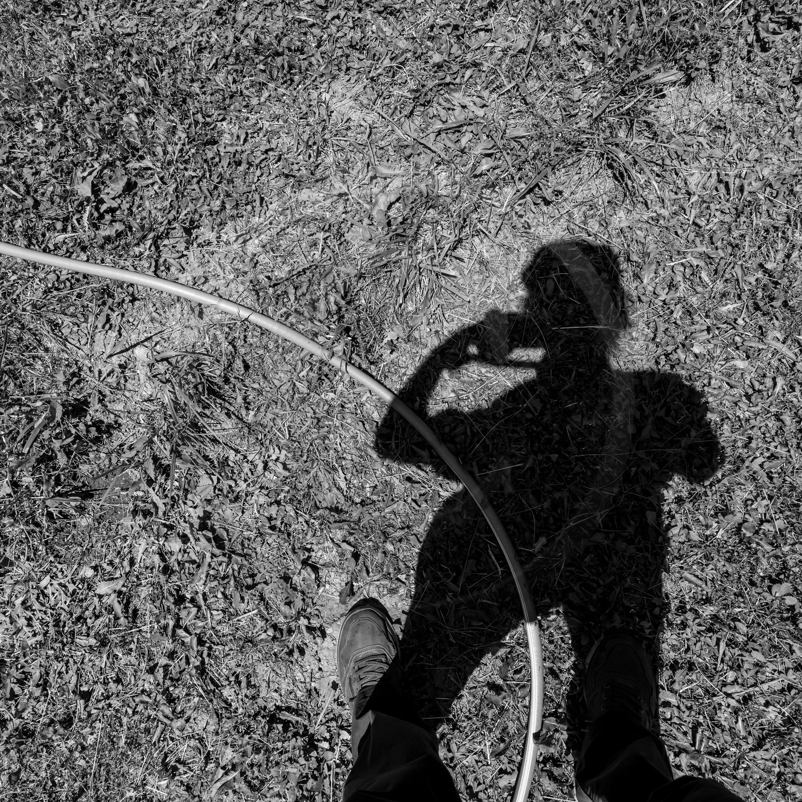 30 juin 2021 : Jardinage, jeux de cartes, masques