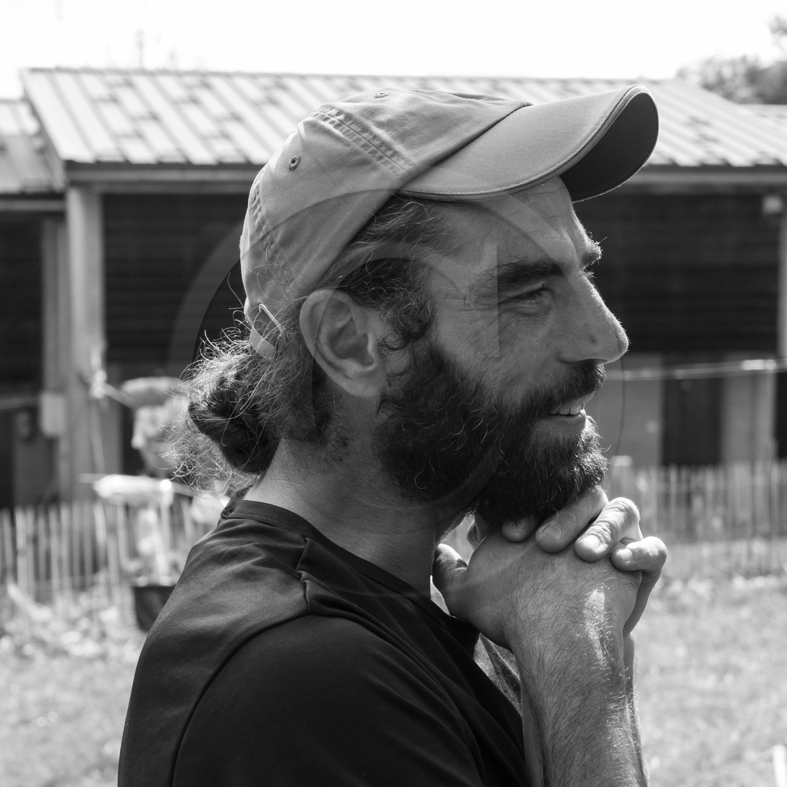 13 septembre 2017 - Chemins - Graines