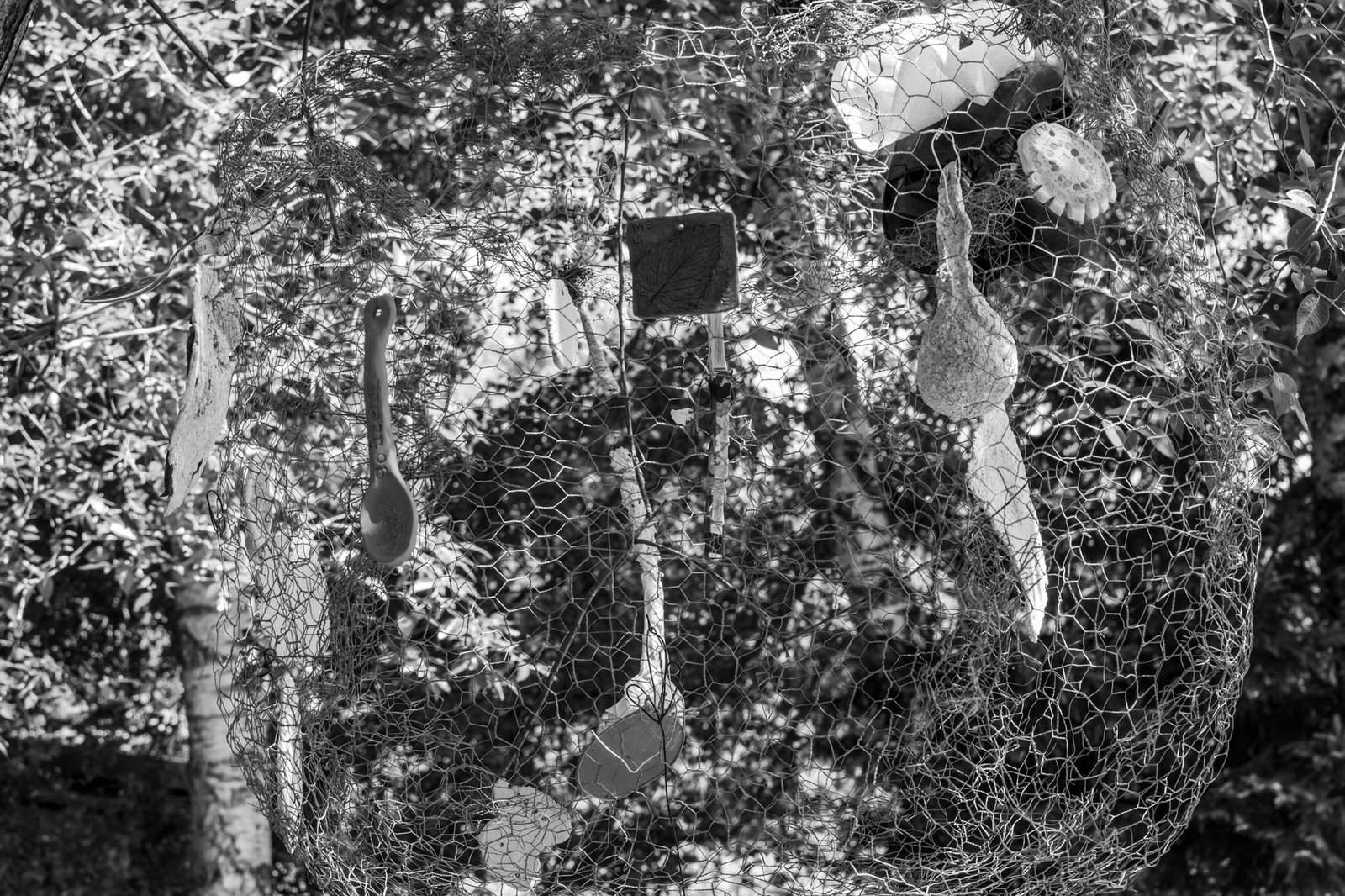 18 juillet 2025 : Journée des aidants