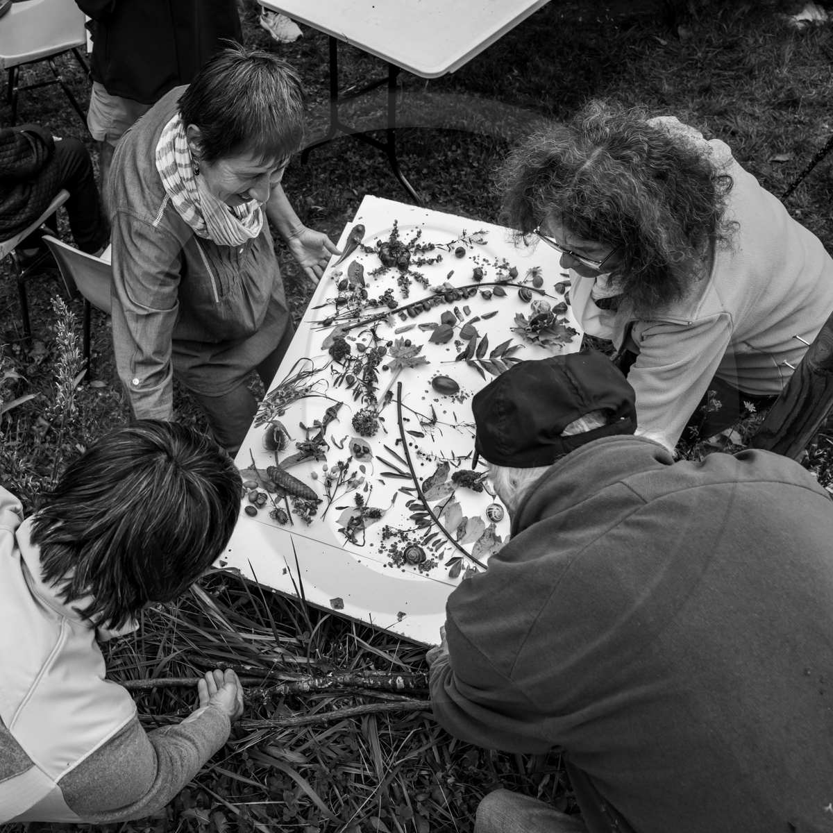 12 octobre 2022 : Land Art à l'Ouort