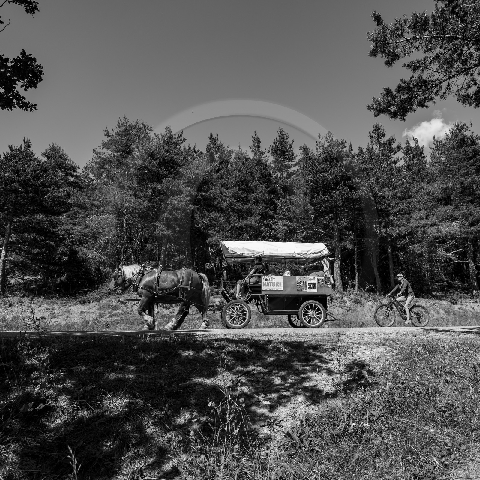 01 septembre 2021 : Promenade en cariole et contes
