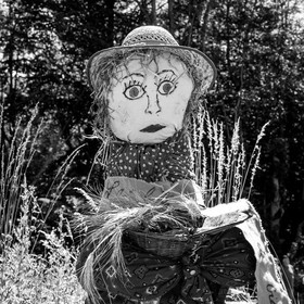 05 juillet 2017 - Installation épouvantails