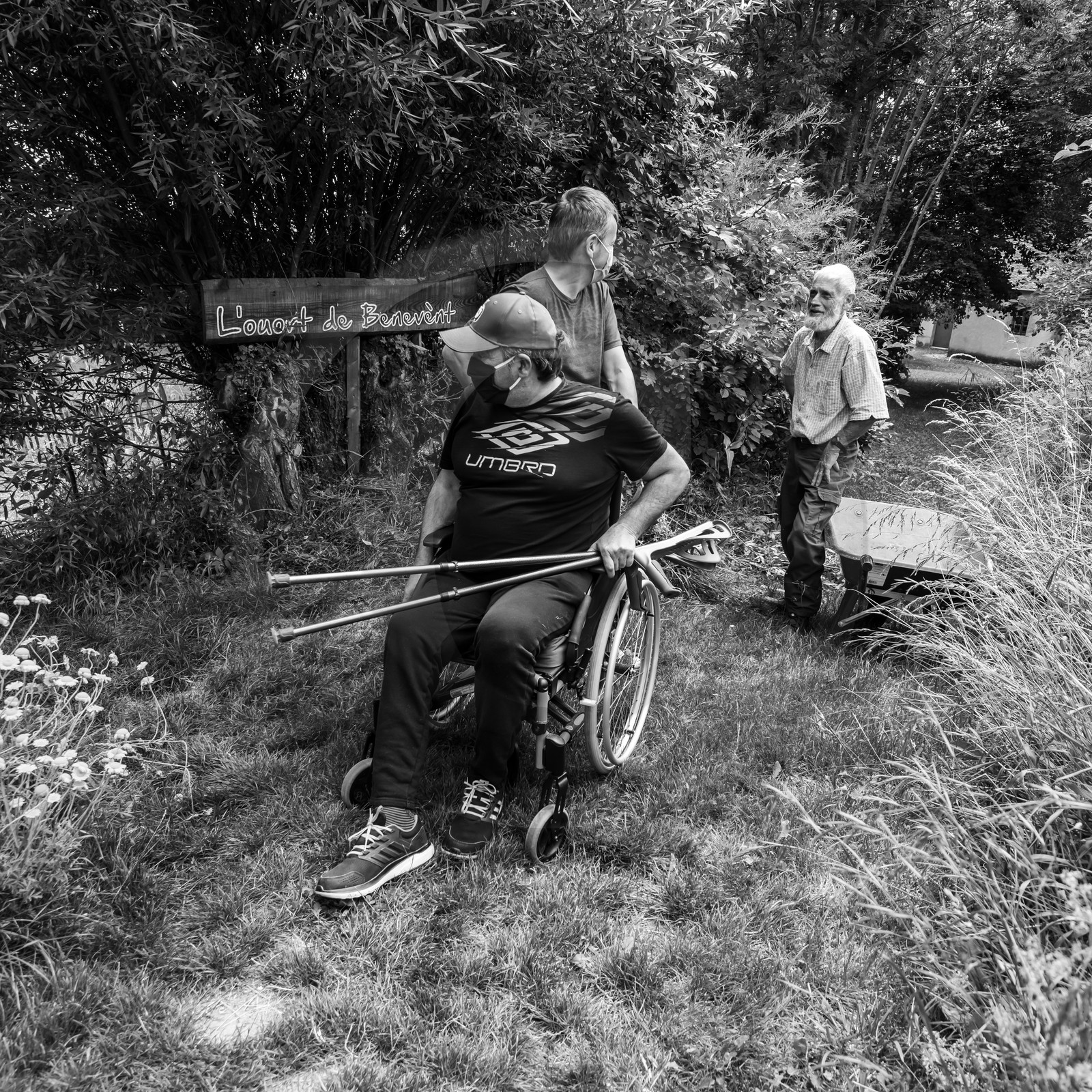 Promenades au jardin