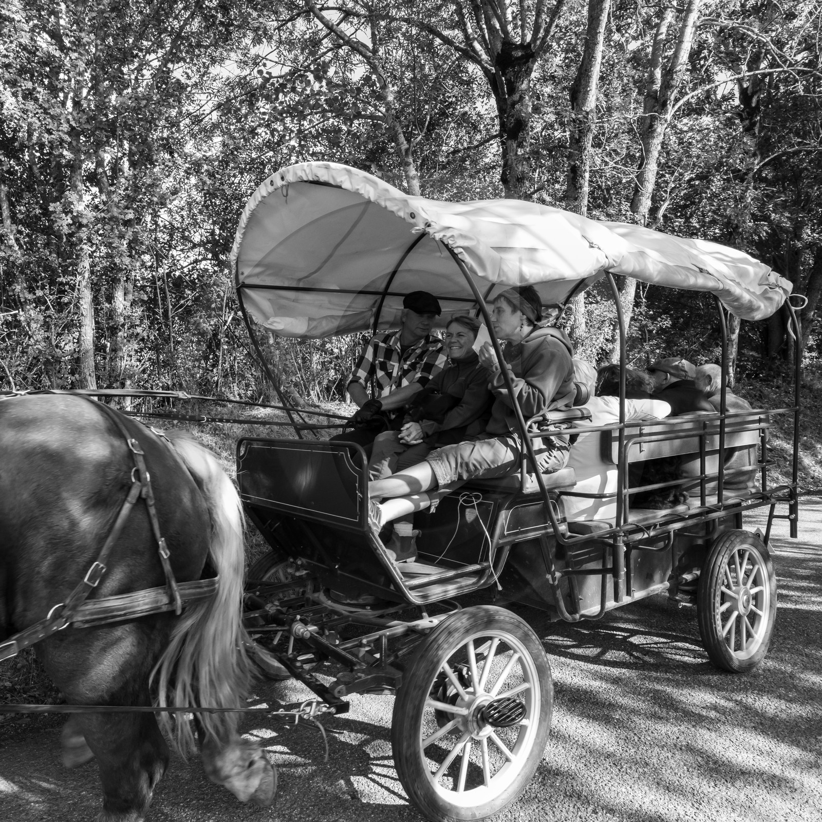 25 septembre 2019 : Promenade en calèche