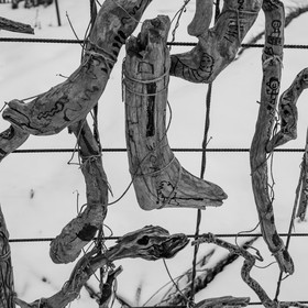 21 janvier 2021 : l'Ouort sous la neige