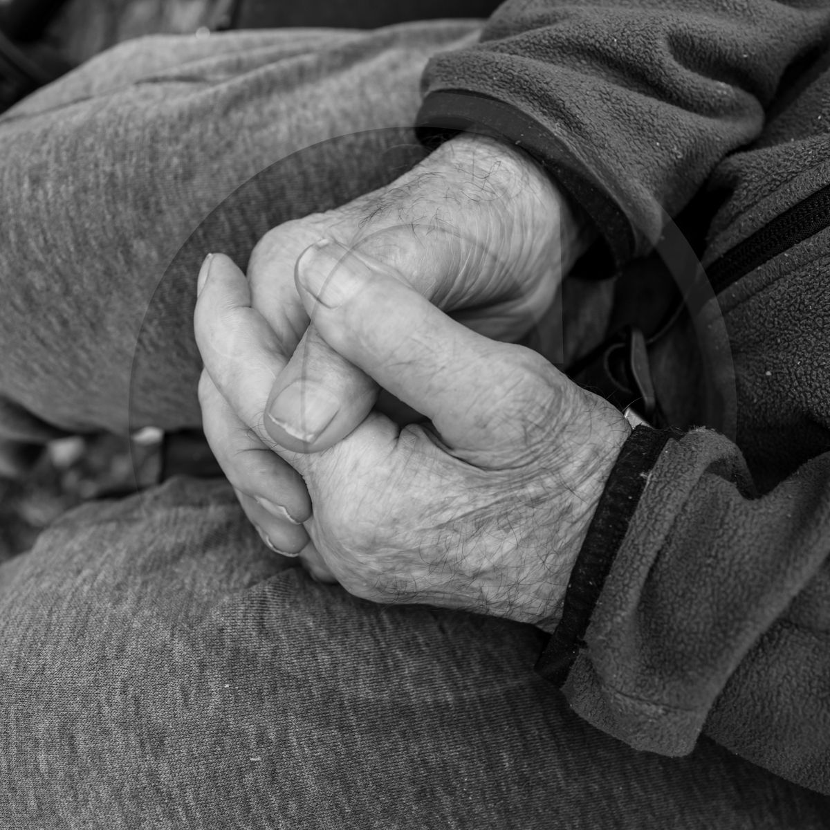 14 septembre 2022 : jeux, laine et promenade