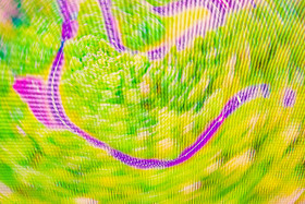 Le Tour de France cycliste 2021